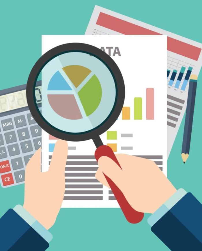 Financial Review & Audits (1)