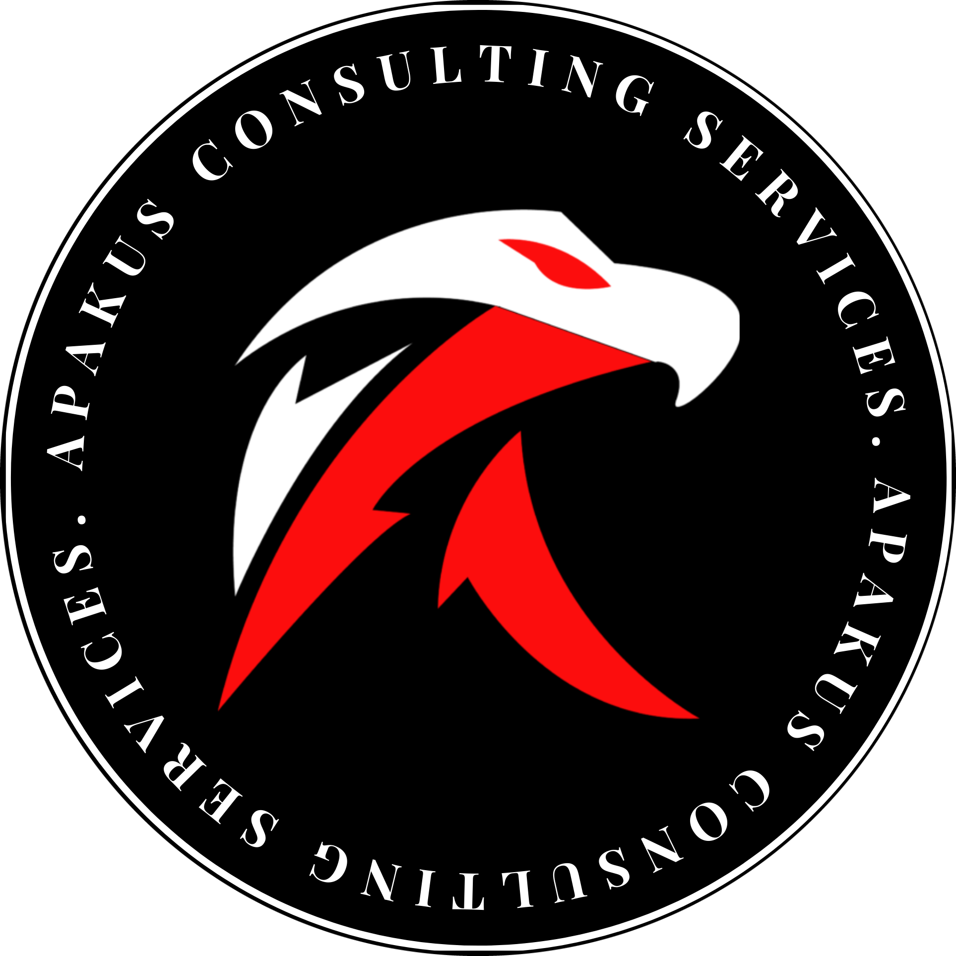 APAKUS Consulting Services Circle Logo 1